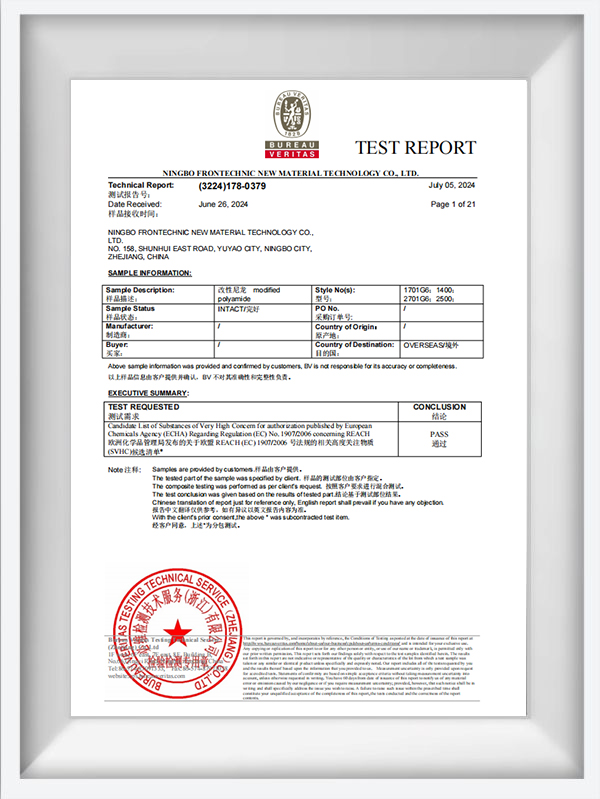 Izvještaj o ispitivanju BV -a