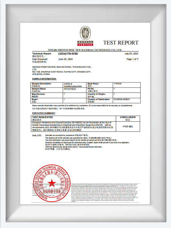 1000 Izvješće o testu serije NAT